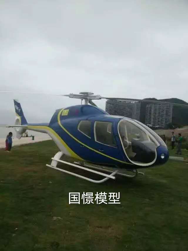 常山县飞机模型